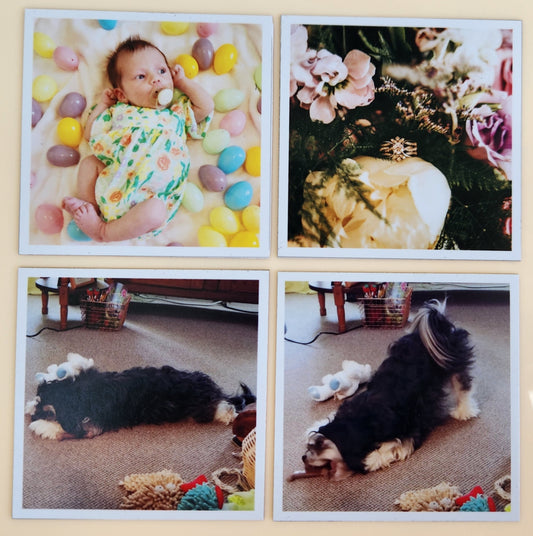 2.5"x2.5" Custom Square Vinyl Magnets - Set of 12